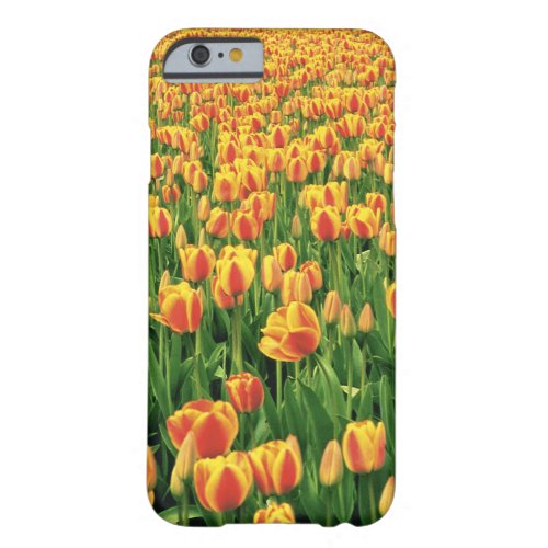 Spring tulips bloom in front of old barn barely there iPhone 6 case