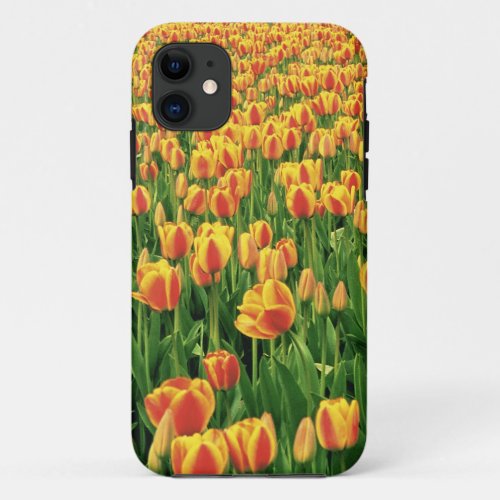 Spring tulips bloom in front of old barn iPhone 11 case
