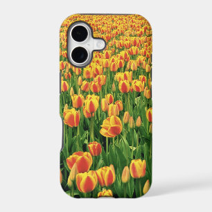 Spring tulips bloom in front of old barn. iPhone 17 case