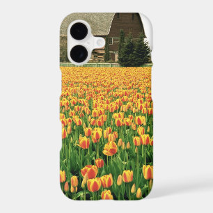 Spring tulips bloom in front of old barn. iPhone 17 case