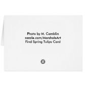 Spring Tulips Card (Back Horizontal)