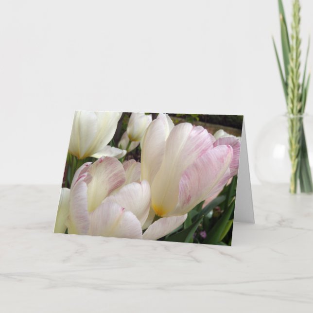 Spring Tulips Card (Front)