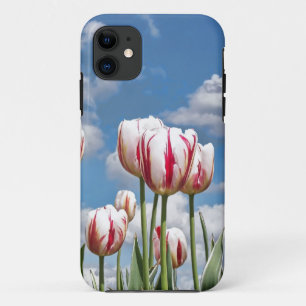 Spring Tulips iPhone 11 Case