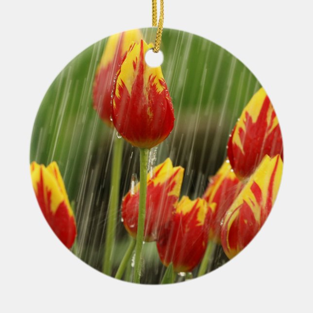 Spring Tulips Ceramic Ornament (Front)