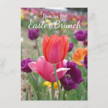 Spring Tulips Easter Brunch Invitation by CindyBeePhotography at Zazzle