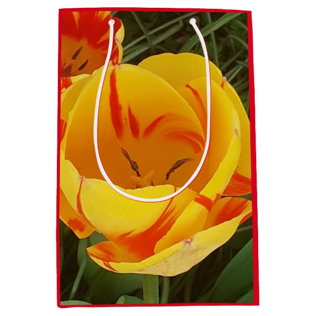Spring Tulips Gift Bag (Front)