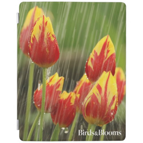 Spring Tulips iPad Smart Cover