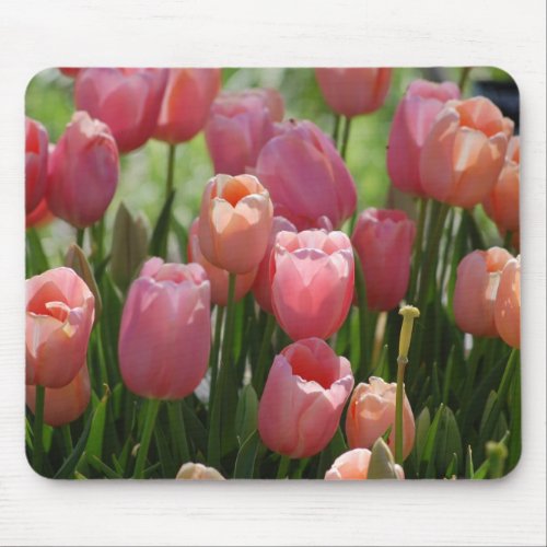 Spring Tulips Mouse Pad