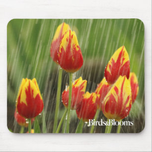 Spring Tulips Mouse Pad