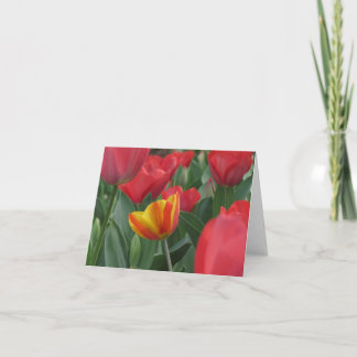 Spring Tulips Note Card