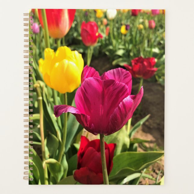 Spring Tulips, Oregon Planner (Front)