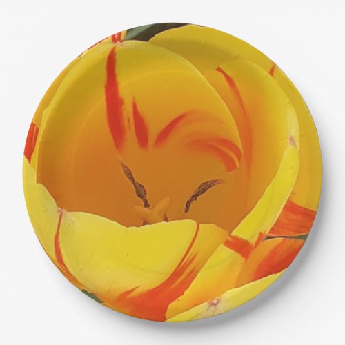 Spring Tulips Paper Plates