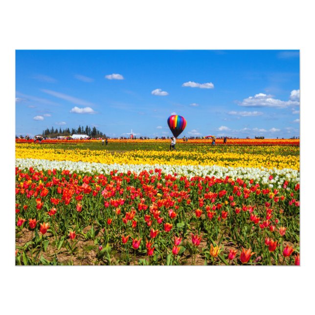 Spring Tulips Photo Enlargement Print (Front)
