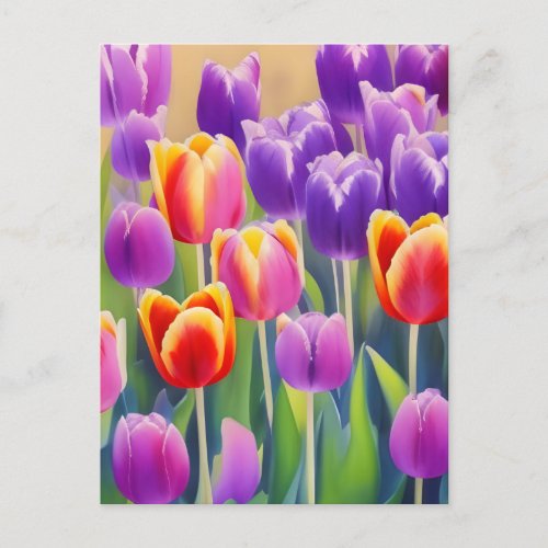Spring Tulips Postcard