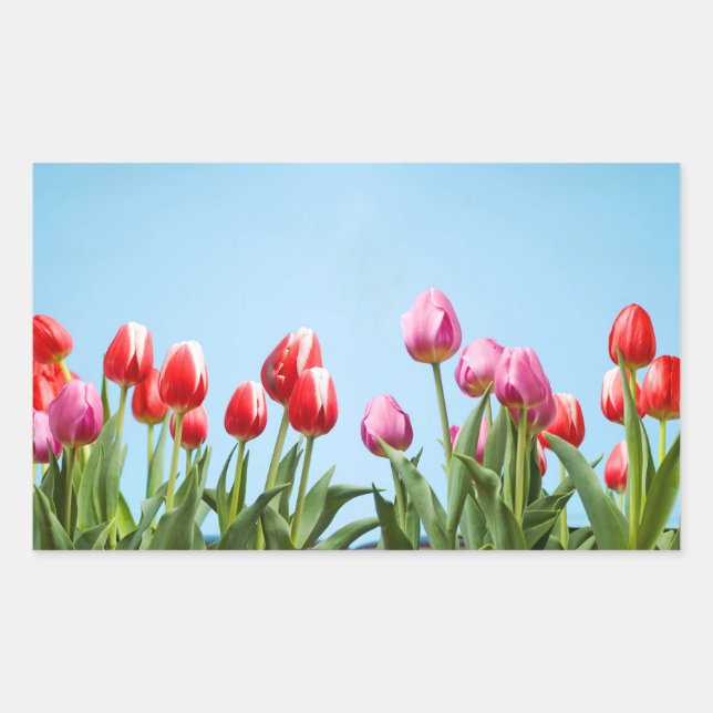 Spring Tulips Stickers (Front)