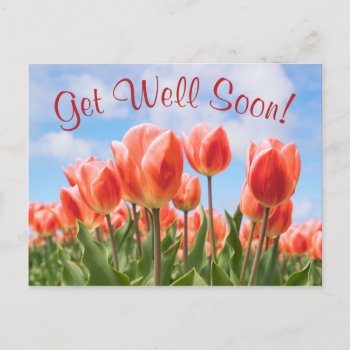 Spring Tulips Sunny Get Well Soon Postcard by sunnysites at Zazzle
