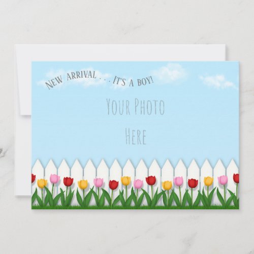 Spring Tulips White Picket Fence Custom Photo Announcement