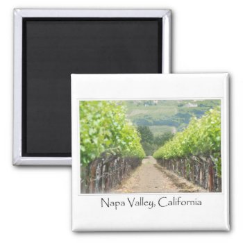 Spring Vineyard In Napa Valley California Magnet by bbourdages at Zazzle