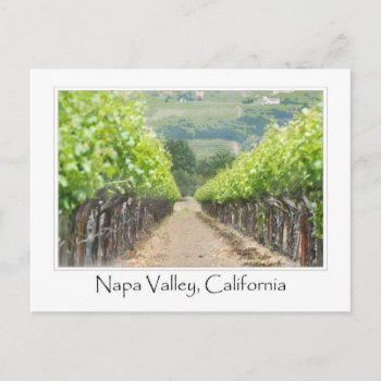 Spring Vineyard In Napa Valley California Postcard by bbourdages at Zazzle