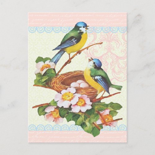 Spring Vintage Cute Bird Couple and Nest Postcard