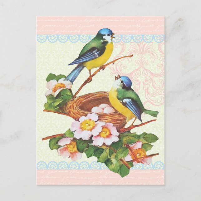 Spring Vintage Cute Bird Couple and Nest Postcard (Front)