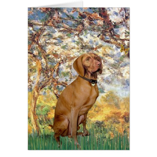 Spring - Vizsla 2 Card