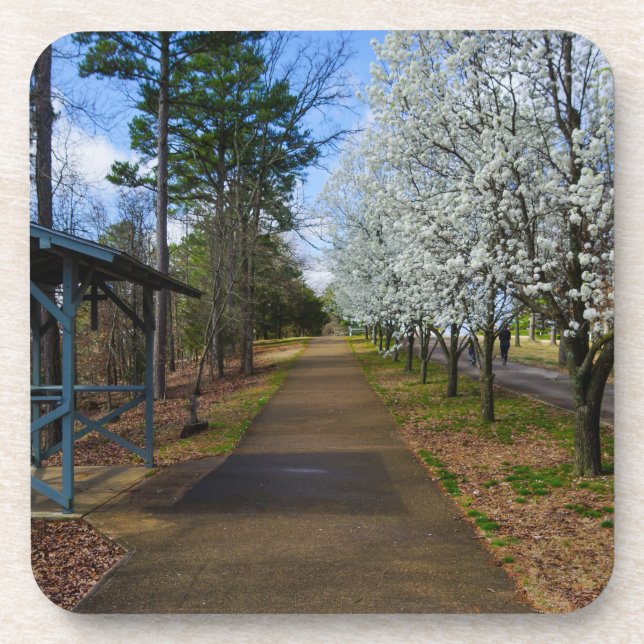 Spring Walk Beverage Coaster (Front)
