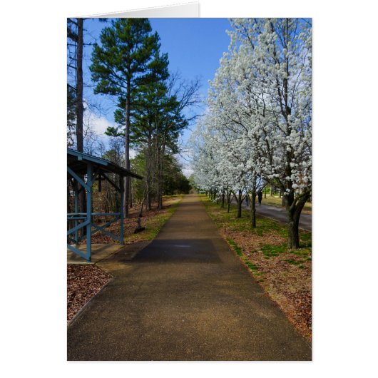 Spring Walk Cards (Front)