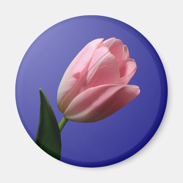 Spring Wedding Tulip Magnet (Front)