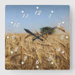 Spring Wheat Harvest Green Combine Square Wall Clock at Zazzle