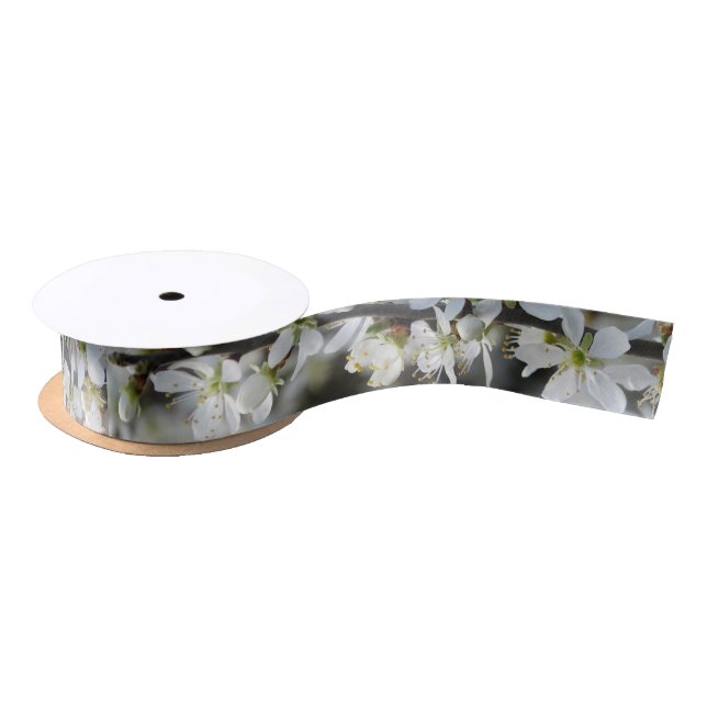 Spring,White Blossoms Photo  Ribbon (Spool)