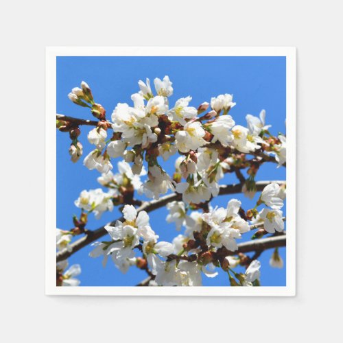 Spring white cherry Blossoms Napkins