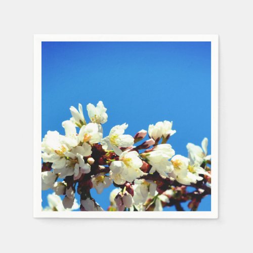 Spring white cherry Blossoms Napkins