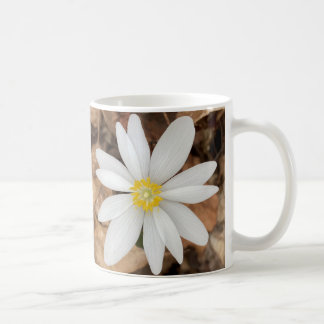 Spring White Flower Photo Mug