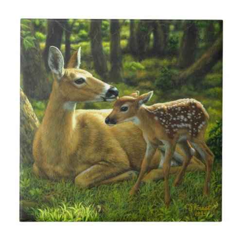 Spring Whitetail Fawn and Mother Deer Ceramic Tile
