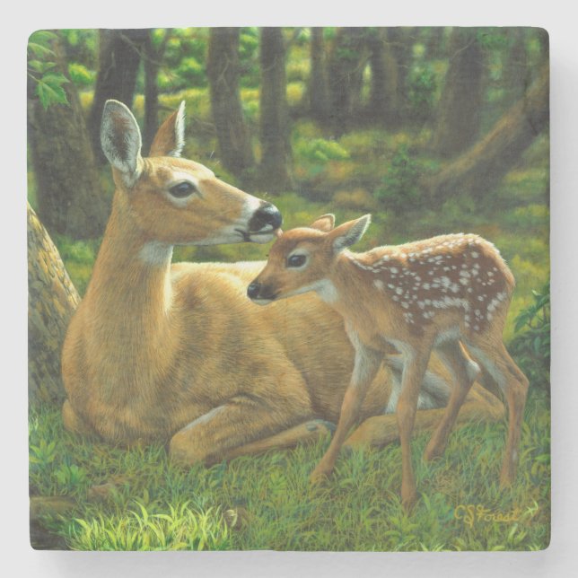 Spring Whitetail Fawn and Mother Deer Stone Coaster (Front)