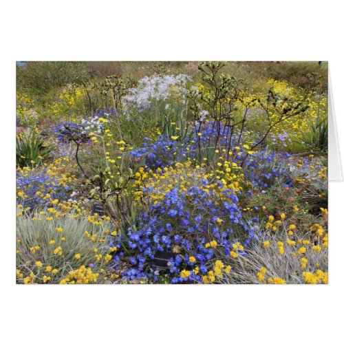 Spring wildflowers Card