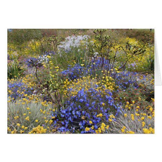 Spring wildflowers Card (Front Horizontal)