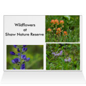 Spring Wildflowers Cards (Inside Horizontal (Top))