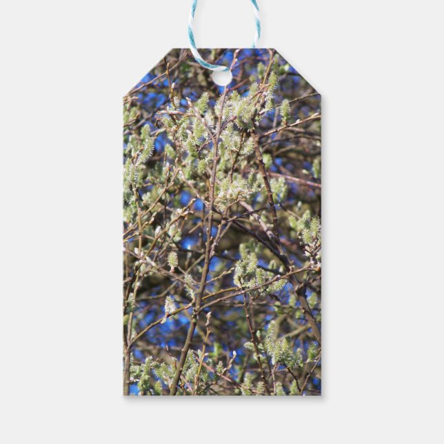 SPRING WILLOW GIFT TAGS (Front)