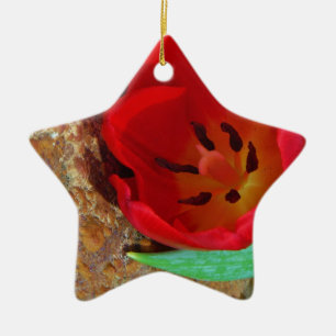 Spring yellow and Red Tulip Ceramic Ornament