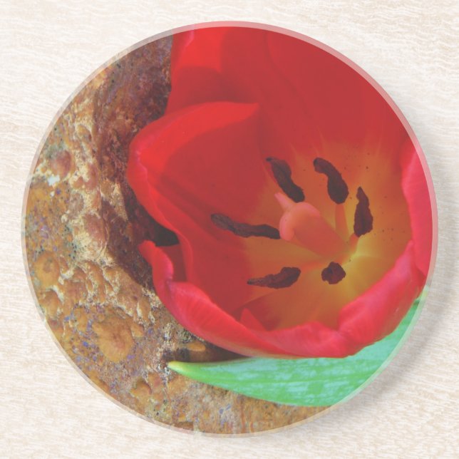 Spring yellow and Red Tulip Drink Coaster (Front)