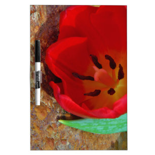 Spring yellow and Red Tulip Dry-Erase Board