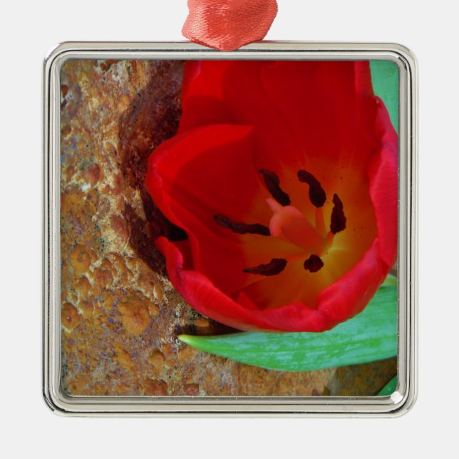Spring yellow and Red Tulip Metal Ornament (Front)