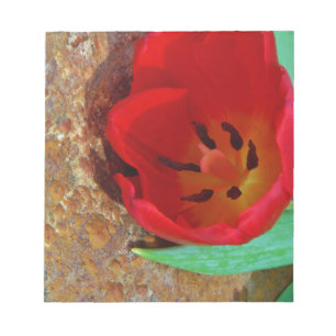 Spring yellow and Red Tulip Notepad