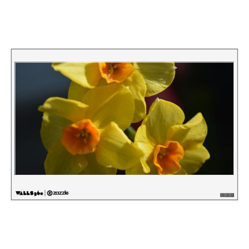 Spring yellow daffodil flower photo art wall decal