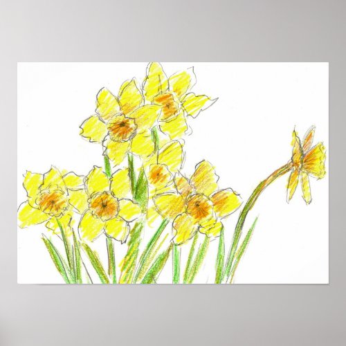Spring Yellow Daffodil Garden Watercolor Drawing Poster