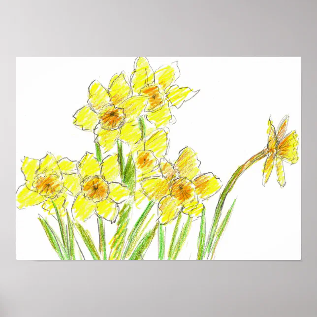 Spring Yellow Daffodil Garden Watercolor Drawing Poster | Zazzle