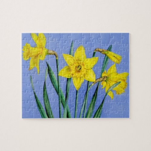 Spring yellow daffodils Watercolor gouache art Jigsaw Puzzle