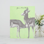 Springbok Letterhead (Standing Front)